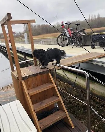 Seeadler Hausboot Deine Auszeit auf dem Wasser Hausboot festliegend mit 360Grad Dachterrasse, 2 Badezimmer, 2 Hunde Villa